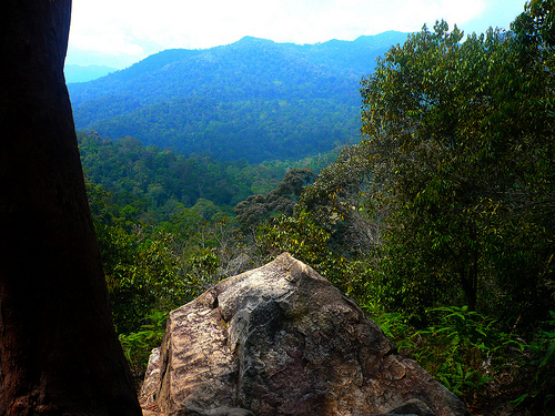 Taman Negara